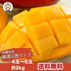 沖縄産 完熟マンゴー 2kg 4-6玉 送料