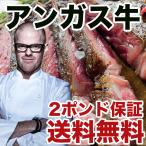 ショッピング楽天 ステーキ肉 送料無料 1ポンド保証ステーキ肉！2枚セット アンガスビーフ 肩ロース 赤身肉 精肉 ダイエットにどうぞ！ ｜ステーキ肉｜