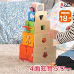 ショッピングおもちゃ おもちゃ 知育玩具 赤ちゃん 木のおもちゃ 1歳 誕生日 プレゼント ランキング 一歳 トレーニングキューブ アイムトイ 1歳児 知育