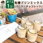 有機 プリンミックスの素 バニラ チョコレート 100g 1袋 K and Son's 無添加 オーガニック プリンの素 プリン 5〜6個用