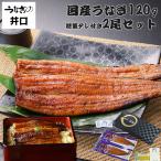 ショッピングお中元 早割 送料無料 うなぎの井口 公式 父の日 早割 プレゼント 50代 60代 70代 80代 ギフト 2024 うなぎ 国産 蒲焼き 鰻 食べ物 ギフト お取り寄せグルメ 蒲焼 120g 2尾セット