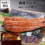 ショッピングうなぎ 父の日 うなぎの井口 公式ストア 父の日 うなぎ 国産 蒲焼き 鰻 食べ物 ギフトお取り寄せグルメ  ウナギ 蒲焼 大サイズ 120g 4尾セット ギフト プレゼント 内祝 誕生日