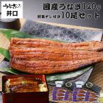 ショッピング父の日 うなぎ お年賀 2026 ギフト 食品 うなぎ プレゼント うなぎの井口 ウナギ 蒲焼き 国産 鰻 お取り寄せグルメ 海鮮 食べ物 ギフトセット 贈り物 120g 10尾