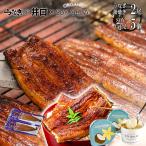土用の丑の日 残暑見舞い お中元 御中元 2025 ギフト うなぎの井口 SOY GeLA うなぎ 蒲焼き 国産 鰻 お取り寄せグルメ 海鮮 食べ物 食品 豆乳アイス5個 120g 2尾