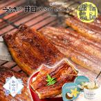 爆買 敬老の日 2025 ギフト うなぎの井口 SOY GeLA うなぎ 蒲焼き 国産 鰻 お取り寄せグルメ 海鮮 食べ物 食品 豆乳アイス5個 120g 3尾