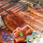 お年賀 2026 ギフト 食品 うなぎ プレゼント うなぎの井口 SOY GeLA 蒲焼き 国産 鰻 お取り寄せグルメ 海鮮 食べ物 食品 豆乳アイス5個 120g 4尾