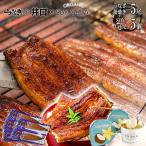 バレンタイン 2026 チョコ以外 ギフト 食品 うなぎ プレゼント うなぎの井口 SOY GeLA 蒲焼き 国産 鰻 お取り寄せグルメ 海鮮 食べ物 豆乳アイス5個 120g 5尾