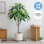 ショッピング観葉植物 Nature ナチュレ 観葉植物 パキラ フェイクグリーン 人工 室内 リビング オフィス 一人暮らし 緑 インテリア インテリアグリーン 光触媒 空気清浄 消臭