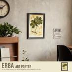 Erba Art Poster ¥¢¡¼¥È¥Ý¥¹¥¿¡¼ ¥Ý¥¹¥¿¡¼ Ë̲¤ ¾²ÃÖ¤ ¥¦¥Ã¥É¥Õ¥ì¡¼¥à ³ÛÉÕ¤ Êɳݤ±