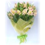 新鮮なお花シリーズ　結婚祝 出産祝　メリアランド 4,000円花束