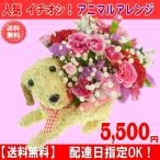 母の日 2025 花 ギフト 特割中！ 母の日アニマルアレンジ5,500円 送料無料  配達日指定可能 カーネーション 母の日ギフト 50代 60代 70代 80代