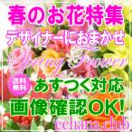  весна. .. было использовано designer . случайный 3,500 иен бесплатная доставка на следующий день доставка 15 часов до .... соответствует 