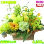 花 ギフト 誕生日 1月の誕生花 宝石箱アレンジ4,000円 送料無料 翌日配達  あすつく対応