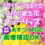 花 ギフト 誕生日 2月の誕生花チューリップデザイナーにおまかせフラワー5,000円 送料無料 翌日配達   あすつく対応 フラワーアレンジ・花束