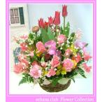  цветок подарок день рождения 2 месяц. рождение цветок тюльпан springs организовать 6,000 иен бесплатная доставка на следующий день доставка цветок слова имеется тюльпан .... соответствует 