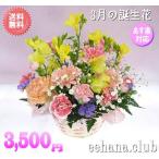 花 ギフト 誕生日 3月の誕生花 カラフルアレンジ3,500円 送料無料 翌日配達  花言葉付き  フリージア 爆買
