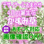 花 ギフト バースデー 4月の誕生花 デザイナーにおまかせフラワー3,500円 送料無料   あすつく対応 フラワーアレンジ・花束 誕生日