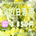 父の日に贈る花 デザイナーにおまかせ3,500円【送料無料 翌日配達】  花束・アレンジ・プリザーブドフラワー・はちもの