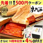 ショッピング父の日 2~3人用 うなぎ 国産 ギフト お取り寄せグルメ 蒲焼き 食べ物 誕生日 お祝い 内祝 お返し 送料無料 ウナギ 鰻 母の日 プレゼント 化粧箱 Aset 2〜3人用 AA