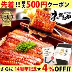 うなぎ 国産 ギフト お取り寄せグルメ 蒲焼き 食べ物 誕生日 お祝い 内祝 お返し 送料無料 ウナギ 鰻 蒲焼3枚 母の日 プレゼント 化粧箱 Bset 2〜3人用 AA