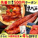 父の日 うなぎ 国産 プレゼント ギフト 50代 60代 70代 80代 2024 食べ物 海鮮 早割 蒲焼き 浜名湖 誕生日 お祝い 内祝 お返し 鰻 風呂敷 2〜3人用