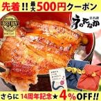 父の日 プレゼント ギフト うなぎ 国産 50代 60代 70代 80代 2024 食べ物 海鮮 早割 蒲焼き 送料無料 誕生日 ご自宅用 鰻 風呂敷 furoshiki-pon2 1〜2人用 AA