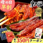 うなぎ 国産 ギフト お取り寄せグルメ 蒲焼き 食べ物 誕生日 お祝い 内祝 お返し 送料無料 ウナギ 鰻 蒲焼2本 母の日 プレゼント 風呂敷 Ftn2 2〜3人用 AA