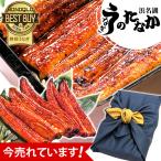 国産 うなぎ 蒲焼き 食べ物 ギフト プレゼント お祝い 内祝 お返し 誕生日 蒲焼5本 国産うなぎ 海鮮 お取り寄せグルメ 風呂敷 Ftn5 3〜5人用
