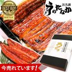 国産 うなぎ 蒲焼き お取り寄せ 食べ物 誕生日 お祝い 内祝 お返し 送料無料 鰻 ギフト お取り寄せグルメ 母の日 プレゼント 化粧箱 Iset 2〜3人用 2尾 AB