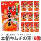 【10個セット】本格キムチの素（117g×10個）