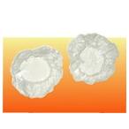 ���ꥢ�����С�