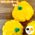 UFO ズッキーニ 2個入 野菜 国産 新潟県産 プラスワイズ FARM