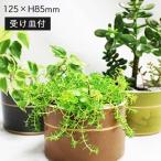 ウィンターセール限定価格 cosshi コッシ FLOWERPOT LB-147-01110 受け皿付