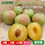  low ji- мера |kerusi- уступать .. ... зуб ...*.... кислота ... Iwate префектура производство 