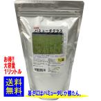西洋芝種子 バミューダグラス(皮取種) 1L詰 福花園種苗