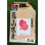 お米 5Kg 玄米 コシヒカリ 福島県産 令和５年産 こしひかり 米袋 真空パック 備蓄 一部地域、送料無料