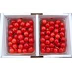  вишня Sato . рука ..1kg.. для подарок поле. драгоценнный камень коробка первоклассный. вишня свет сенсор выбор .