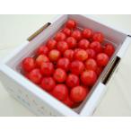  вишня Sato . рука ..500g.. для поле. драгоценнный камень коробка первоклассный. вишня свет сенсор выбор .