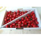  вишня Sato . роза ..1kg для бытового использования M*L размер вдоволь выгода для 