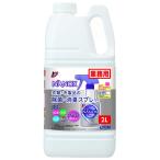 ショッピングナノックス トップNANOX（ナノックス） 衣類・布製品の除菌消臭スプレー 2L（ライオンハイジーン）