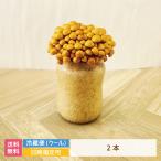 なめこ栽培キット×2　福島県産　家庭栽培・自由研究* (クール便)
