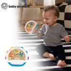  Magic Touch * тамбурин из дерева тамбурин 6 месяцев примерно ~ First игрушка baby игрушка из дерева игрушка половина день рождения 1 лет 2 лет день рождения подарок 