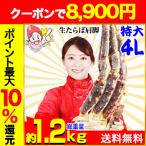 かに カニ 蟹 タラバガニ たらば蟹 | 特大4L生たらばがに肩脚1肩(総重量約1.2kg)【送料無料】