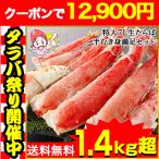 かに カニ 蟹 タラバガニ たらば蟹 | 特大7L生たらば半むき身満足セット1.4kg超(総重量約1.6kg)