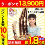 ショッピングかに かに カニ 蟹 タラバガニ たらば蟹 | 超特大8L生たらばがに肩脚1肩(総重量約1.8kg)【送料無料】