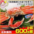 かに カニ 蟹 ズワイガニ 浜茹で松葉 松葉ガニ | 【境港厳選大型サイズ】浜茹で松葉ガニ600g超(ブランドタグ付き)×2杯