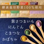 野菜パウダーセット　50g×4種 オーガニック　離乳食　スムージー　デコ弁　キャラ弁　農薬無散布　無添加　送料無料