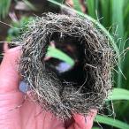 メダカの産卵床 (天然ヤシ繊維) 10個セット メダカ めだか 産卵床 メダカ産卵床 めだか産卵床 めだかの産卵床