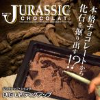 ショッピング恐竜 恐竜の化石を発掘するチョコレート ジュラシックショコラ ディグアップ