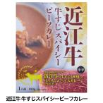 近江牛 すじスパイシ